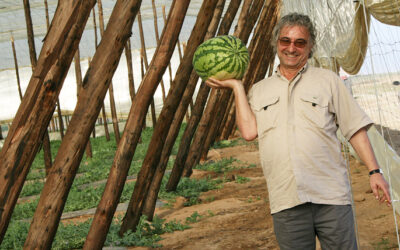 A Delicious Watermelon Recipe to Try Out