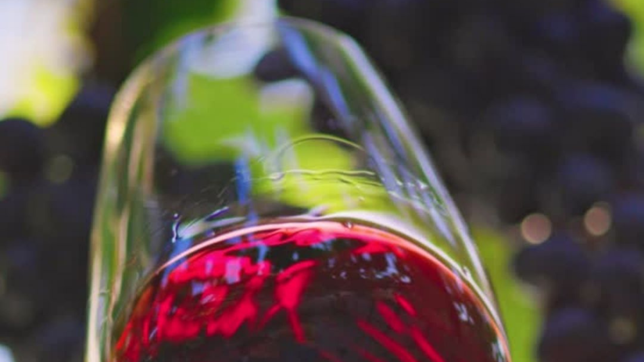 Health Benefits of Wine Blog C&M Watermelon Imports