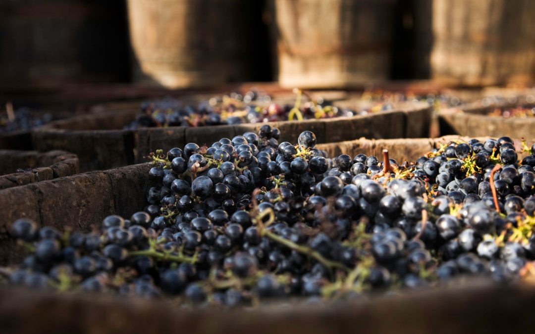 5 Benefits of Homemade Wine 