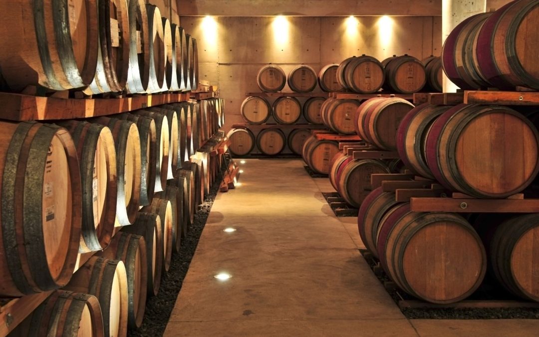 The Art and Science of Wine Fermentation: Unveiling the Grape’s Transformation 