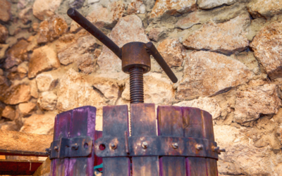 What Equipment Will You Need to Start Making Your Own Wine?