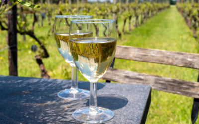 The Sparkling Success Of English Wine