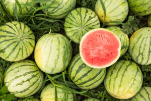 watermelon recipes