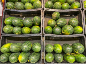 watermelon wholesaler