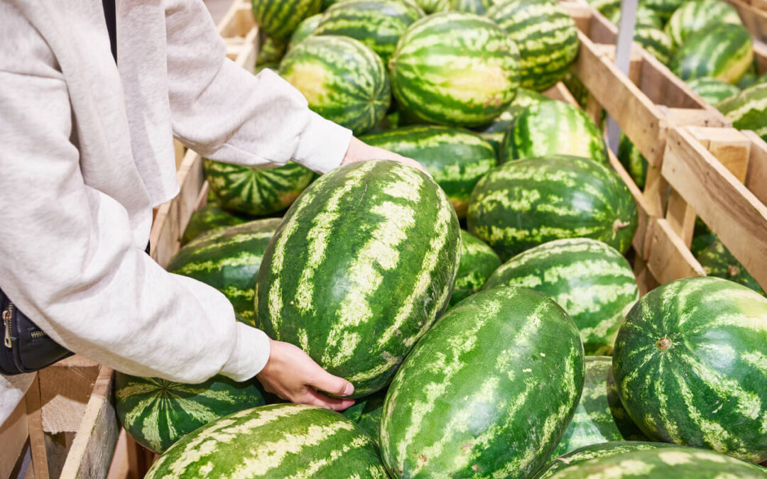 What to Look for in a Watermelon Wholesaler and Why It Matters