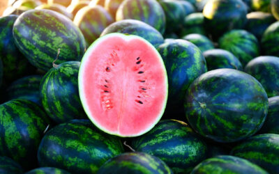 When, Where and How to Make the Most of Watermelon Season
