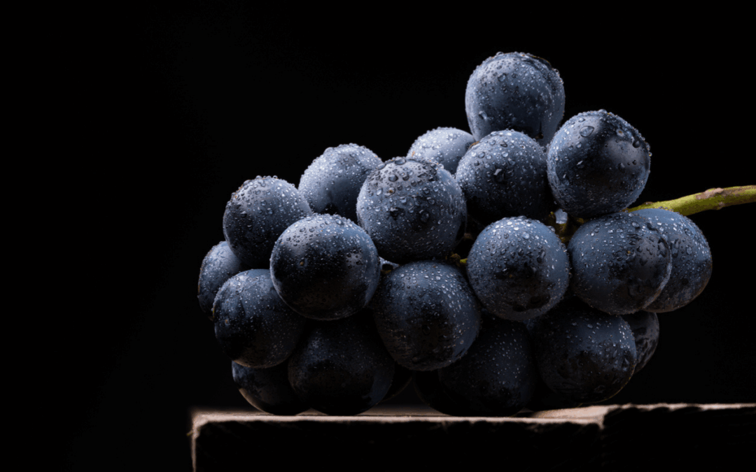 how-to-choose-the-right-wholesale-wine-grapes-for-your-batch