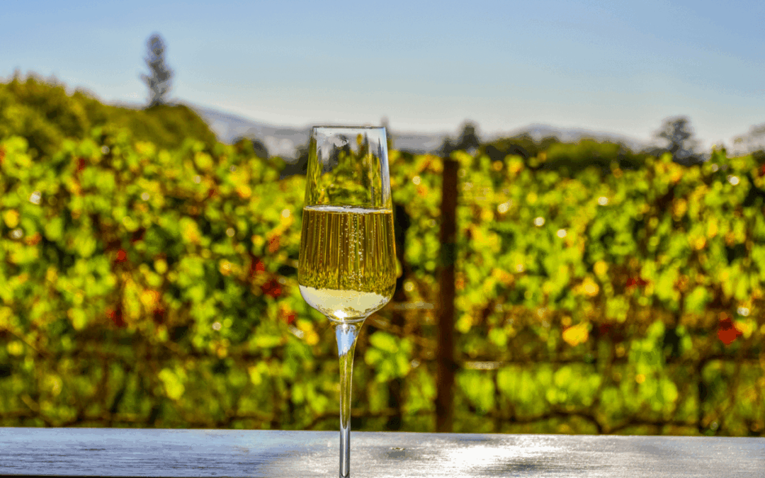 How Wine Making Equipment Can Change the Flavour of Your Wine
