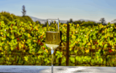 How Wine Making Equipment Can Change the Flavour of Your Wine