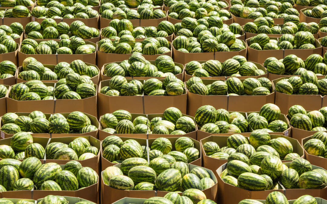 Why Wholesale Fresh Produce Is Vital to the UK Food Industry
