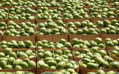 Why Wholesale Fresh Produce Is Vital to the UK Food Industry