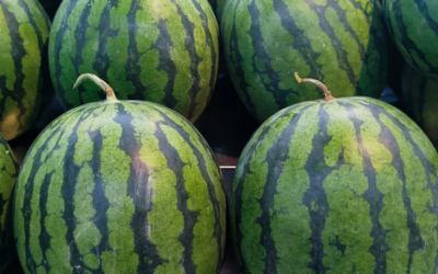 Are Greek Watermelons the Answer to the UK’s Supply Chain Volatility?