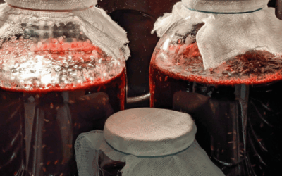 Making Wine at Home from Fresh Grapes for the First Time? Here’s What to Expect
