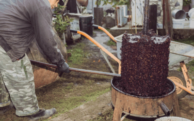 Why Homemade Wine Is Still a Family Tradition